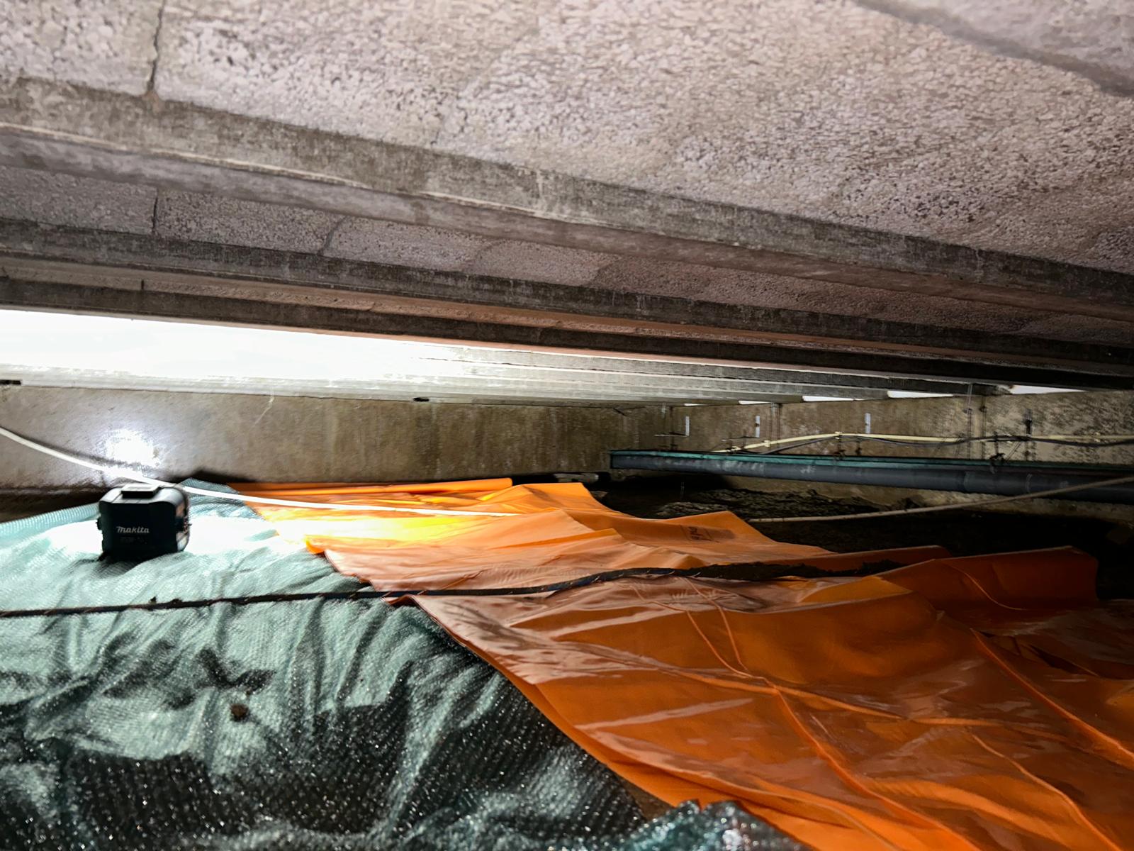 Afbeelding van WhatsApp op 2024-08-20 om 21.53.12_cb098074